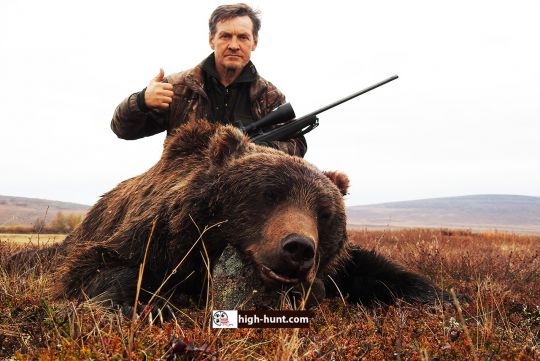 Охота на бурого медведя на Чукотке