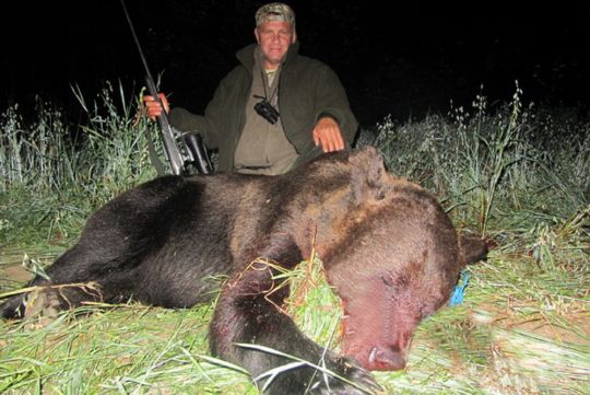 Охота на медведя в России