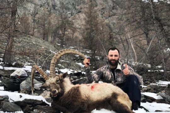 Hunting to ibex in Russia