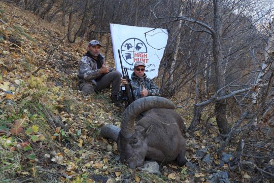 Охота на Дагестанского тура
