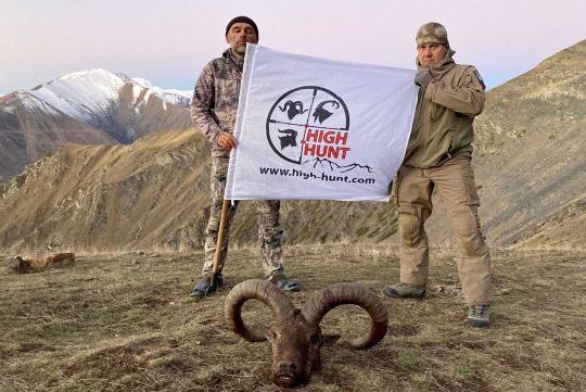 Охота на Дагестанского тура