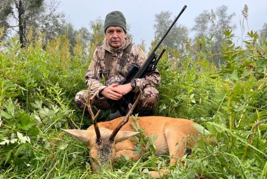 Siberian Roe deer hunting