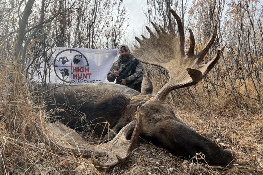 Hunting to moose in Chukotka
