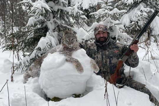 Охота на рысь в России