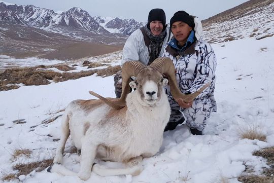 Hunt to Marco Polo sheep