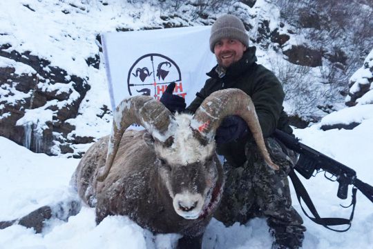 hunting to snow sheep in Russia