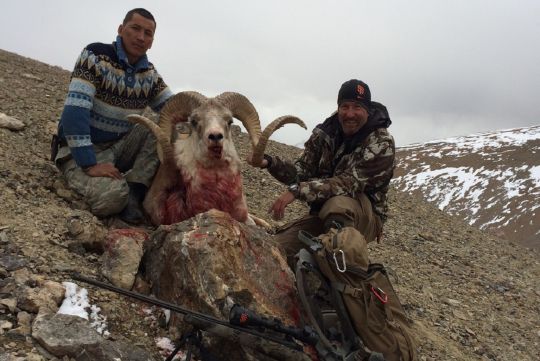 Hunting to Marco Polo sheep