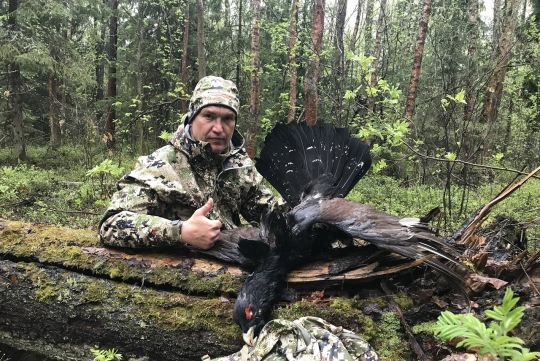 Hunting to capercaillie in Russia