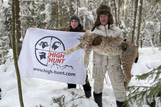 Hunting to lynx in Russia