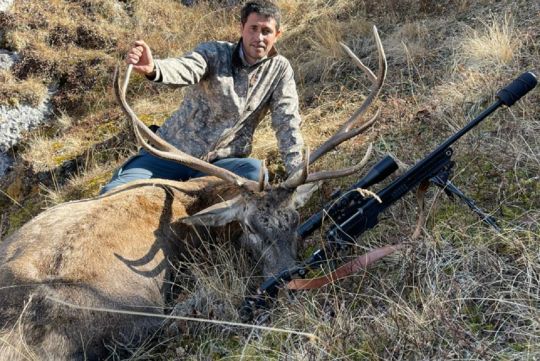 Red deer hunting in Caucasus