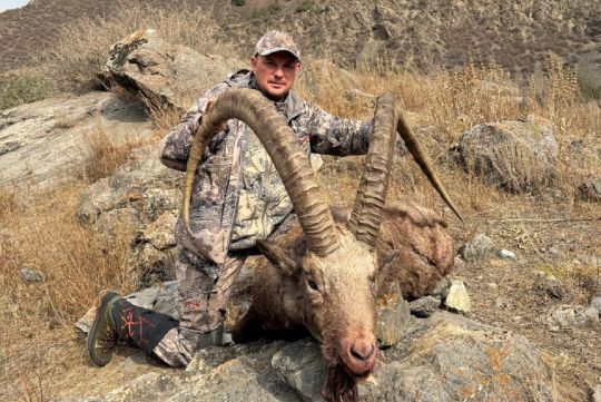 Hunting to ibex in Kyrgizstan