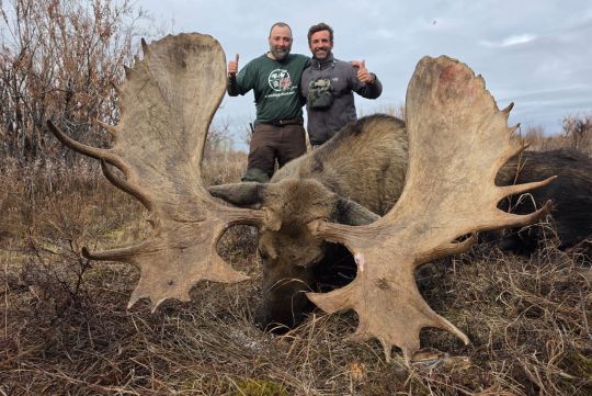 Hunting to moose in Chukotka